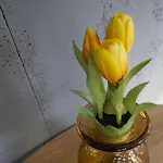 Carpano, Ogrodnicza 7 / Апартаменты *