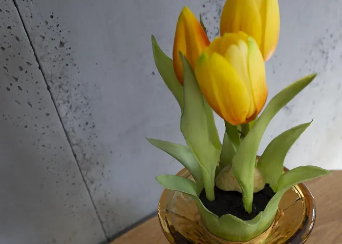 Carpano, Ogrodnicza 7 / アパート *